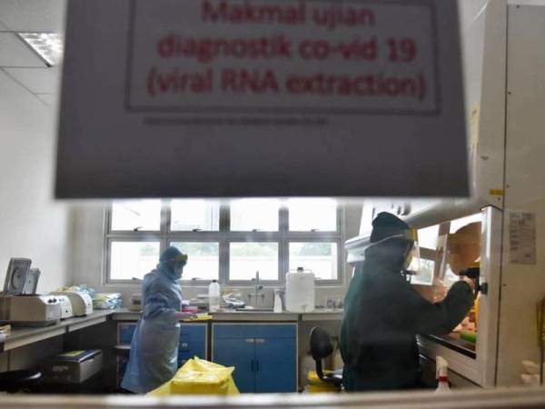 Proses pengujian sampel Covid-19 yang dilakukan oleh pihak UMBI. SUMBER: Facebook Kementerian Kesihatan Malaysia