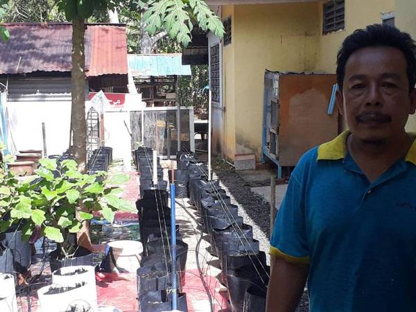 Sebanyak 100 polibeg disediakan Mohd Fauzi di laman belakang rumahnya