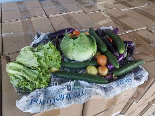 Antara sayur-sayuran yang diberi secara percuma.