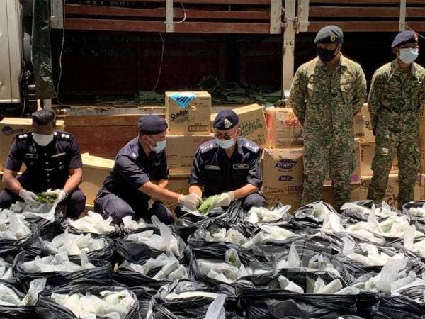 Hasanuddin (tengah) melihat daun ketum yang dirampas.