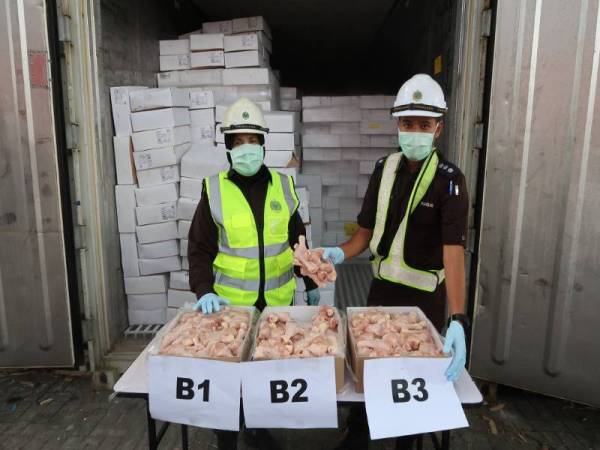 Keratan bahagian ayam sejuk beku bernilai RM265,067.67 diimport dari Hong Kong yang dirampas Maqis Selangor, baru-baru ini.