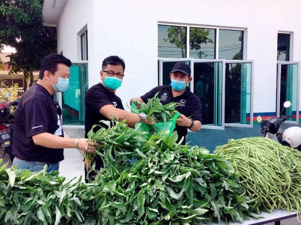 Norhizam (tengah) dan Mohd Yusof (kanan) membungkus sayur-sayuran untuk diedarkan kepada penduduk di sekitar Pulau Gadong, Klebang hari ini. - Foto Bernama