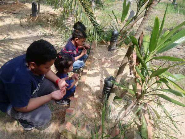 Setiap kali pulang ke kampung, Ismail akan menziarahi kubur arwah adiknya di Kampung Che Isa.
