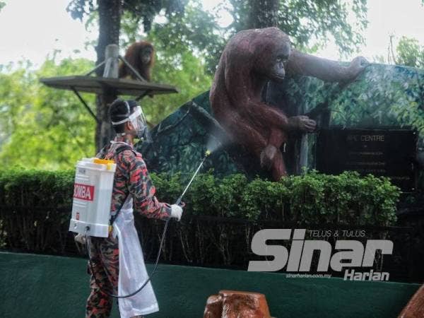 Semburan nyahkuman di Zoo Negara dilakukan oleh anggota bomba hari ini.