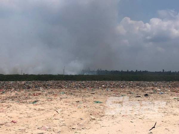 Kira-kira 15 hektar daripada kawasan Hutan Simpan Kuala Langat Selatan dilaporkan terbakar dipercayai sejak beberapa hari lalu.