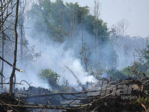 Kebakaran hutan simpan kekal Kuala Langat Selatan. - Foto ROSLI TALIB
