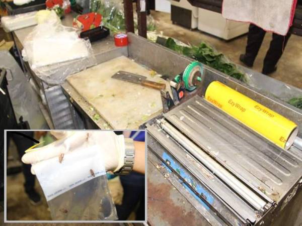 Hasil pemeriksaan mendapati premis terbabit kotor selain melanggar beberapa peraturan apabila menemui empat ekor lipas di tempat pemotong sayur sebuah pasar raya di Banting hari ini.
