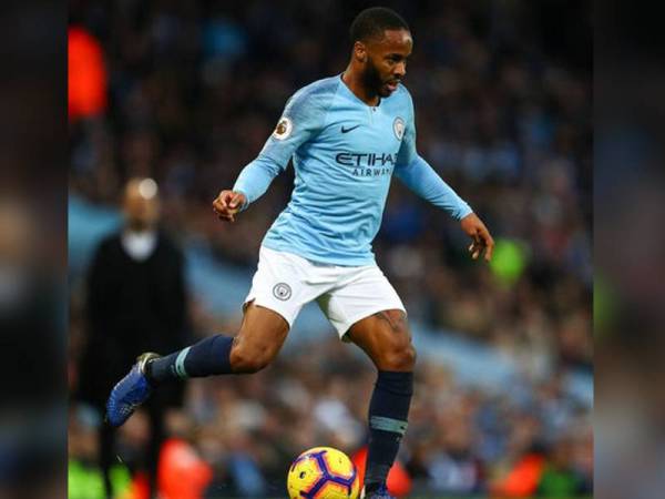 Steerling - Foto: Getty Images