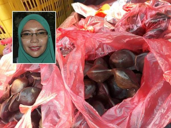 Ulam antara yang dijual Norazni. Gambar kecil: Norazni Md Tolah