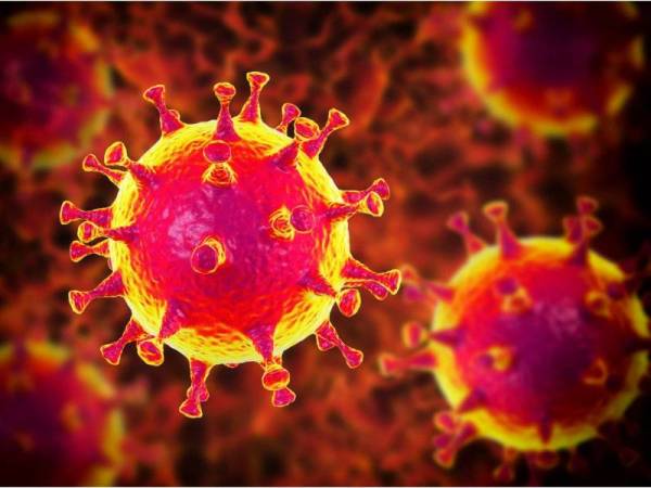 Antibodi dalam badan pesakit yang pulih daripada koronavirus (Covid-19) tidak akan melindungi pesakit terbabit daripada risiko jangkitan kali kedua.- Foto 123RF