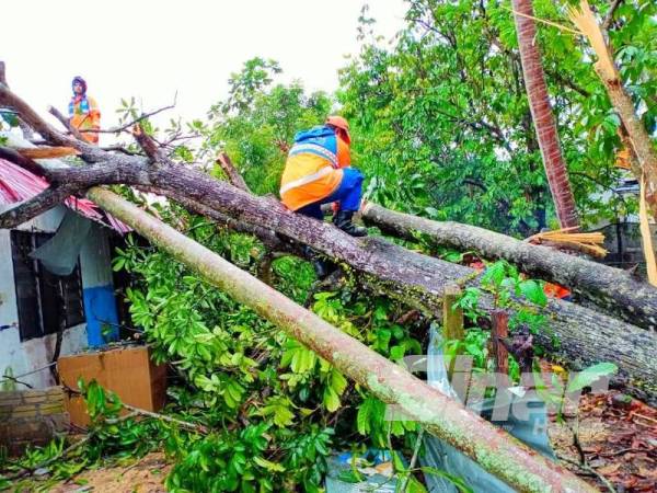 Anggota APM bertungkus lumus melakukan kerja-kerja menebang pokok dan membersihkan pokok yang tumbang di kawasan berkenaan.