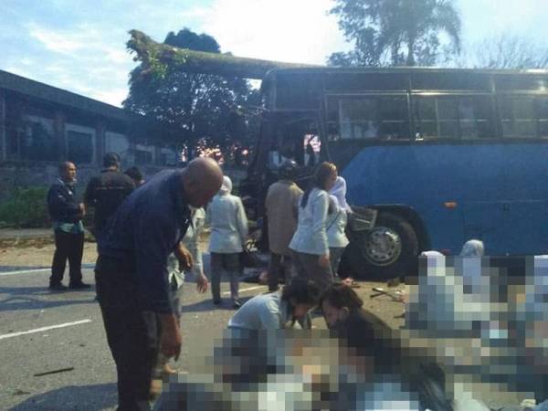 Seramai 18 pekerja warga Indonesia cedera selepas bas yang membawa mereka hilang kawalan sebelum melanggar sebatang pokok di Jalan Senai - Lapangan Terbang Antarabangsa Senai, Kulai, Johor hari ini. FOTO: ihsan media sosial
