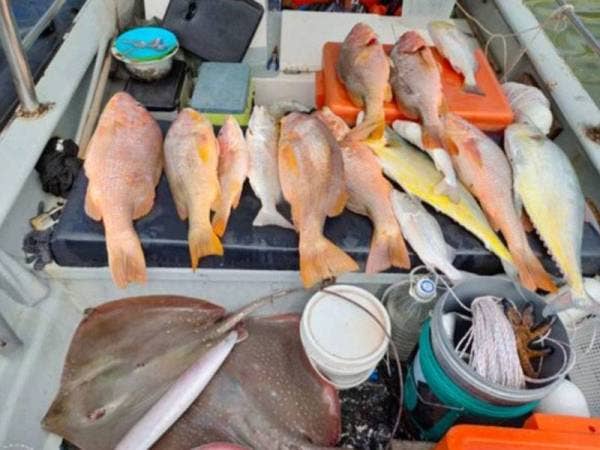 APMM Selangor bertindak merampas 60 kilogram hasil tangkapan susulan penahanan dua lelaki ketika sedang memancing di 30 batu nautika dari Pulau Ketam, Pelabuhan Klang, semalam.