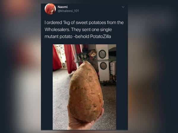 Paparan Twitter Naomi tular di laman sosial.