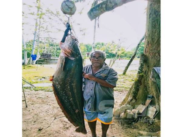 Azran bersama ikan tapah seberat 40kg yang berjaya dinaikkan menggunakan tajur