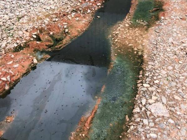 MDHS telah memberikan amaran kepada pihak premis untuk memperbaiki kawalan lalat dalam premis serta pemilik diberi tempoh tujuh hari untuk memastikan kacau ganggu lalat dikurangkan kepada kadar minima serta melaksanakan pelupusan sisa tinja mengikut syarat KM yang ditetapkan.