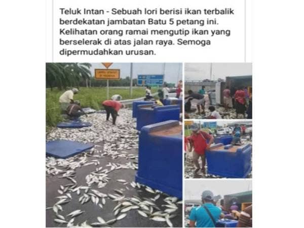 Beberapa gambar berkaitan kejadian itu termasuk orang ramai sedang berkumpul mengutip ikan telah tular di media sosial.