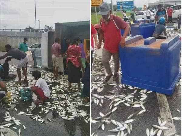 Orang ramai bertindak mengutip ikan yang bertaburan atas jalan selepas mendapat kebenaran pemilik syarikat.
