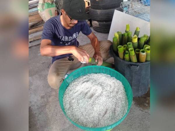 Imarul Safex memasukkan beras pulut ke dalam buluh lemang sebelum dibakar.