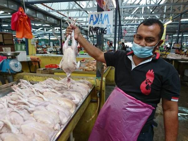 Ghazale menunjukkan sebahagian ayam yang dijualnya di Pasar Transit Bachang, Melaka semalam.