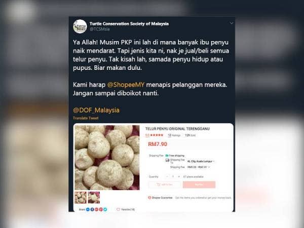 Shopee telah menyekat penjualan telur penyu di platform milik mereka dan netizen mengucapkan syabas.