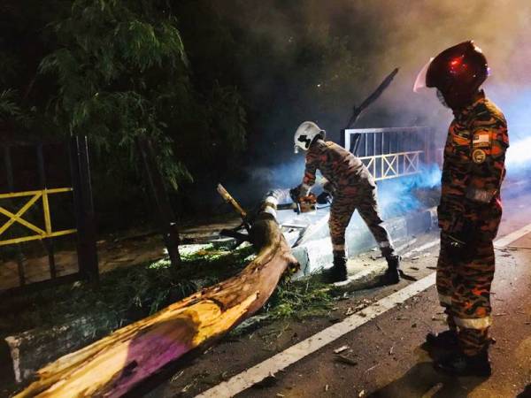 Anggota bomba memotong pokok tumbang yang mengakibatkan kemalangan berhampiran Kipmart Tampoi, Tampoi, Johor Bahru, awal pagi tadi