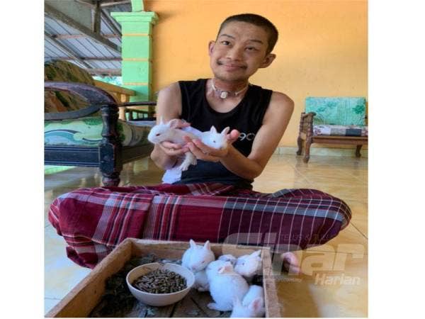 Abdul Halim memberi arnabnya makan.