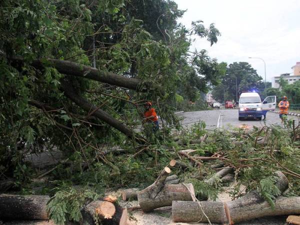 Anggota Angkatan Pertahanan Awam Malaysia (APM) melakukan kerja-kerja membersihkan pokok tumbang selepas kejadian hujan lebat dan angin kencang di Jalan Lim Bo Seng, Ipoh hari ini.- Foto Bernama