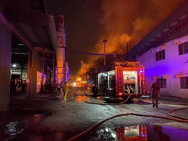Anggota bomba dan penyelamat bertungkus lumus memadam kebakaran sebuah kilang papan di Gopeng malam tadi.