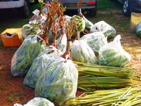 Petai, daun palas dan limau nipis turut cuba diseludup masuk ke negara ini secara haram.