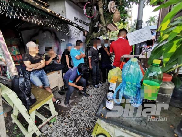 Seramai 14 lelaki tidak serik apabila sekali lagi ditahan dan dikompaun kerana berkumpul dalam sebuah bangsal di Kampung Bagan Jermal di sini sambil menikmati air ketum petang semalam.