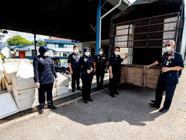 Lori muatan ikan yang turut membawa daun ketum, pil kuda dan syabu dirampas polis untuk tujuan siasatan lanjut. - Foto Ihsan polis