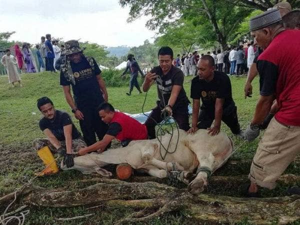 Ibadah korban. Gambar Hiasan