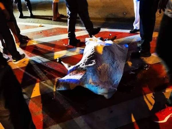 Mangsa seorang pekebun sekolah disahkan meninggal dunia di lokasi kejadian. - Foto Facebook