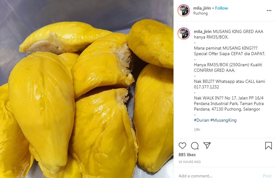 Paparan Instagram Mila Jirin 