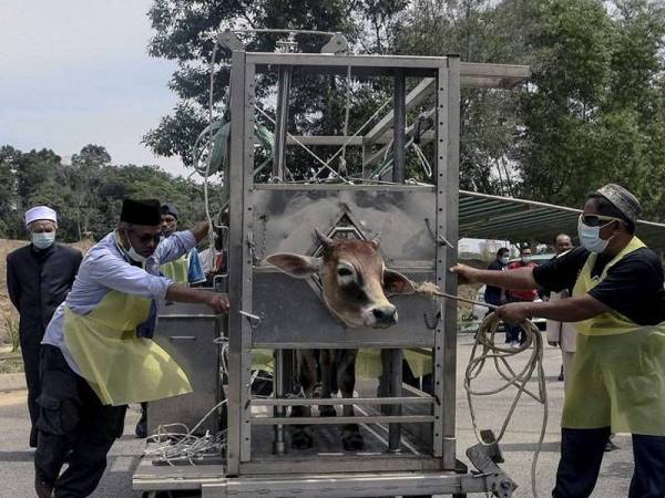 JAIPk tidak pernah mengeluarkan sebarang dokumen berhubung tatacara pengurusan ibadah korban semasa PKPP di negeri itu sebagaimana yang tular di media sosial. - Foto Bernama