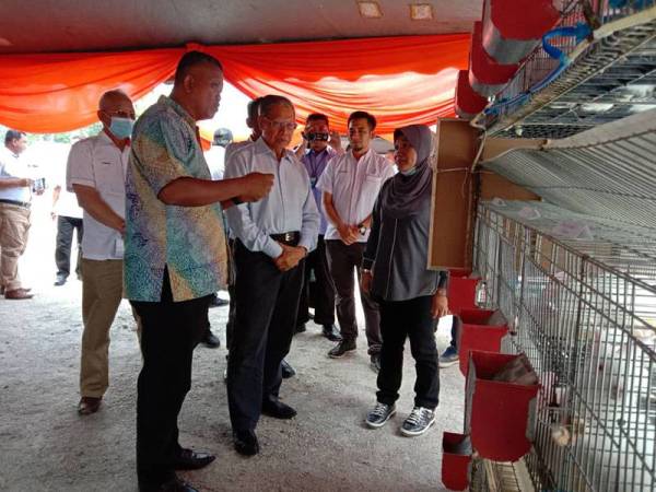 Mustapa (tiga dari kiri) mendengar penerangan daripada Pengerusi Kami Anak Felda Malaysia, Fakhrurrazi Mohd Habib (dua dari kiri) mengenai ternakan arnab.