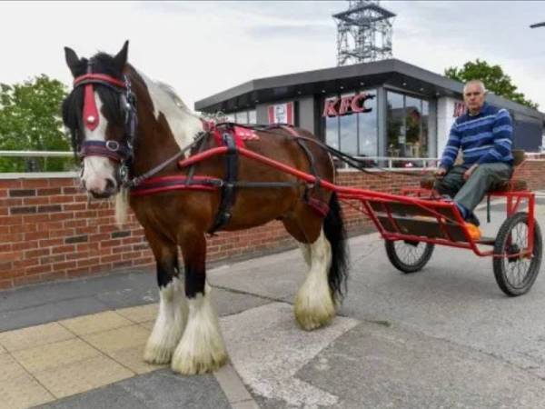 Ian Bell dihalau kerana menaiki kereta kuda ke sebuah restoran makanan segera. - Foto: Metro.co.uk