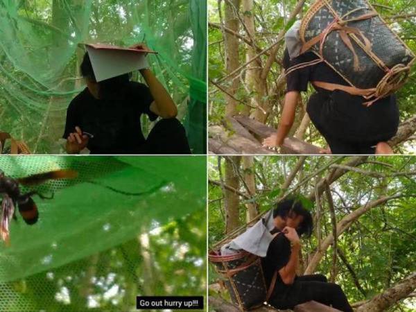 Veveonah Mosibin, sanggup tidur di atas pokok semata-mata untuk menjalani peperiksaan secara dalam talian.