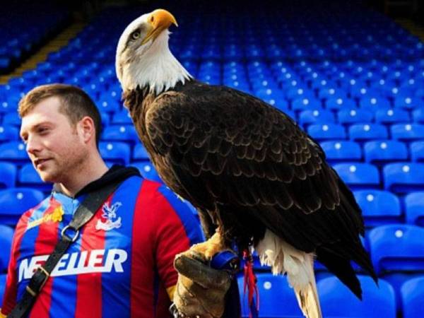 Kayla sering tampil menghiburkan penyokong di Selhurst Park.