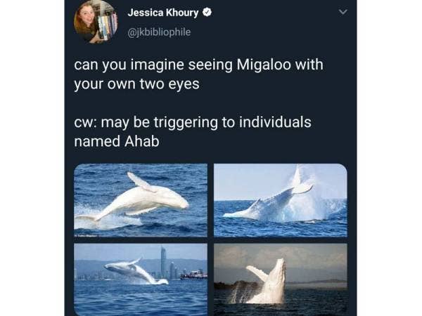Paparan Twitter Jessica berkongsi beberapa gambar Migaloo.