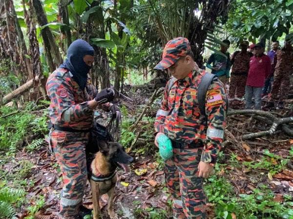 Operasi SAR bagi menjejaki warga emas itu turut menggunakan khidmat empat anjing pengesan dari milik bomba dan polis.