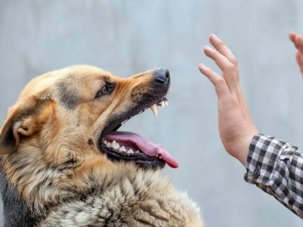 Gambar hiasan. - Foto 123RF