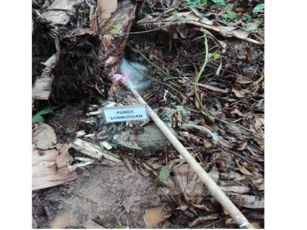 Punca sambungan air secara haram.