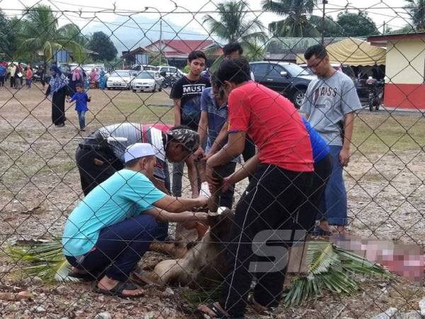 AJK surau di kampung boleh mohon kelulusan pejabat agama daerah untuk mengadakan ibadah korban di kawasan lebih luas jika kawasan surau sedia ada terlalu sempit. - Foto 123RF