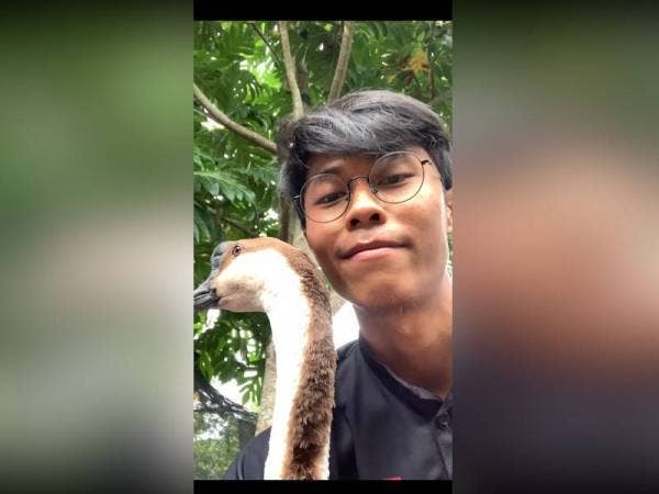 Mohd Ridhuan bersama angsa yang dipanggil Seman.