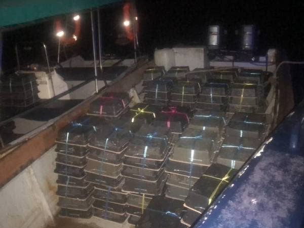 Raga berisi kira-kira 3,304 burung murai yang berjaya diselamatkan Polis Marin daripada aktiviti penyeludupan