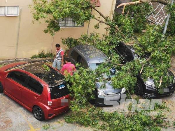 Dua kereta kemik dan calar selepas dihempap pokok dalam kejadian di Apartment Jasmine Court, semalam.