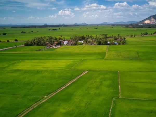Negeri jelapang padi malaysia