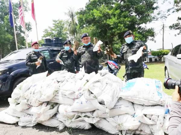 Mohd Nasaruddin (dua dari kanan) menunjukkan daun ketum yang dirampas oleh Batalion 1 dalam Op Benteng Covid kawalan keselamatan sempadan, sepanjang Jun lalu.